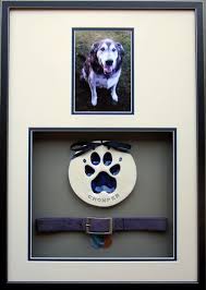 What A Great Way To Remember Your Pet Framed By Frameworks Of Utah Dog Shadow Box Pet Memorial Ideas Dogs Pet Remembrance