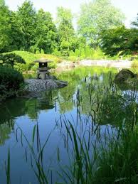 Im Japanischen Garten Bild Von Rheinaue Bonn Tripadvisor