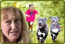 Bullhead City shelter break-in: owner & pit bulls