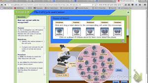 The cell cycle and cancer 2. The Cell Cycle And Cancer Virtual Lab Instructions Youtube