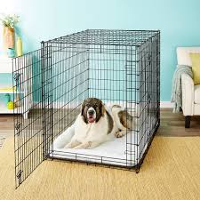 Next, every time you put the dog in the crate say crate, or go to bed, so the dog knows when you if you want to buy a large crate because your dog will get bigger, then stick a box or some kind of a crate is a small container that you put your dog it. Frisco Xx Large Heavy Duty Double Door Dog Crate At Low Prices Free Shipping At Chewy Com