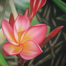 Bali Painting Frangipani Painting Frangpani Flower Red Bali Painting Collections Ubud Painting Arts Cultur Bali Painting Hawaiian Painting Hawaiian Art