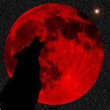 Pin On Galway Castle Inspiration