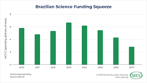 Education In Brazil