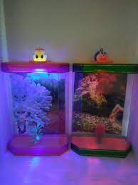 Hobi memelihara ikan merupakan salah satu kesenangan pribadi. Aquarium Mika Mini Lazada Indonesia