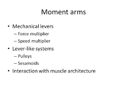 Moment Arms Mechanical Levers Force Multiplier Speed Multiplier Lever Like Systems Pulleys Sesamoids Interaction With Muscle Architecture Ppt Download
