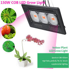 Check spelling or type a new query. Top 6 Best 150 Watt Led Grow Light Reviews On 2021