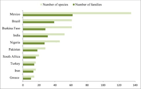 Image result for Xysmalobium heudelotianum