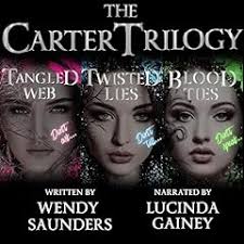 Don't Believe a Word Audiobook