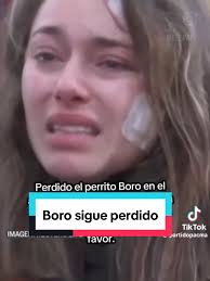 La trágica muerte de Selva por nueva ley veterinaria