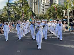 Image result for Fleet Blue 1990 US Government