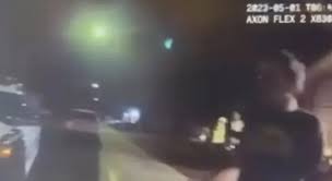 A Las Vegas family says 10ft aliens landed in their backyard. Now, a crime  scene analyst has weighed in