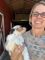 AKC Puppies For Sale In Fort Myers, FL