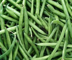 Cover the beans loosely with soil. How To Grow Bush Green Beans And Pole Green Beans