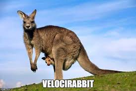 Check out our top 100 animal names on cuteness.com below. A List Of Animals With More Relatable Names