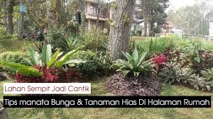 Berkat bunganya yang indah dan mencolok, halaman rumah dijamin akan terlihat lebih segar dan mengesankan. Cara Menata Bunga Tanaman Hias Halaman Depan Rumah Yang Sempit Youtube