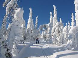 Natürlich gibt es auch auf die finnland, winter artikel unsere zufriedenheitsgarantie. Sinfonie Der Kontraste Wetter Und Licht In Finnland Thisisfinland
