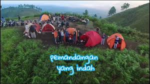 Hasil gambar untuk wisata gajah bobo