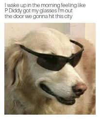 Maybe you would like to learn more about one of these? Cool Doggo Tik Tok Cat Eye Sunglasses Mens Sunglasses Memes