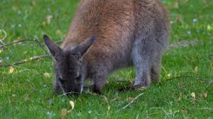 Girl With Down Syndrome Videos: Download 1,154+ Free 4K & HD Stock Footage  Clips - Pixabay