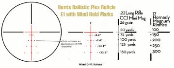 modern varmint and hold over reticles within accurateshooter com