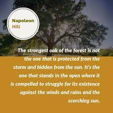 The only way to grow is to challenge yourself. Challenge Yourself To Grow Stronger Personal Mission Grow Strong Inspirational Quotes