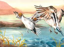 PHS student wins Best of Show in state Junior Duck Stamp contest