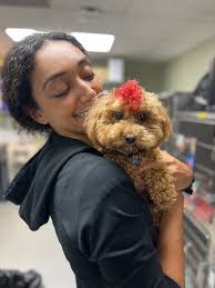 Adorable Pet of the Week, "Dallas" punking out with Dr. Wenner.