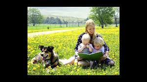 British biologists have determined that the age of the gene is responsible for. The Genetics Of Blond Hair Science Aaas