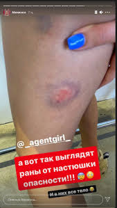 Герасимова (вгик), однако ей не хватило одного балла по егэ для обучения на бюджетной. Klava Koka Pokazala Sinyaki Posle Semok V Shou Ivleevoj Foto