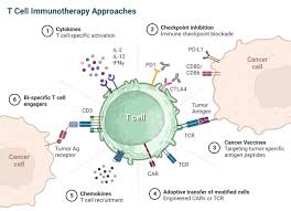 Image result for Immunotherapy