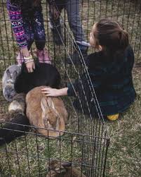 Spring petting zoooooooo