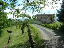 Agenzia Elena Bracchi