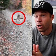 Cougar Nearly Attacks Jogger! 😱