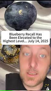 inside of Rotten Blueberry