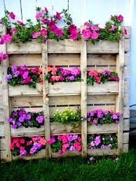 Umumnya bahan bahan ini bersumber dari hewan dan tumbuhan. 10 Pot Gantung Ideas Vertical Garden Plants Garden Design