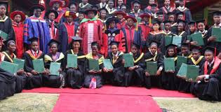 Pan African University To Launch Virtual Education Arm To Reach 54 Countries