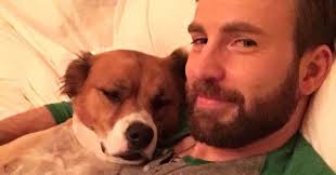 Chris Evans Shares Cute Video Of Himself Waking Up Next To His Dog Dodger