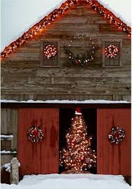 If Only I Had A Barn I Would Totally Do This Christmas Lights Country Christmas Christmas Scenes