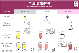 Weinherstellung Von Der Traube Bis Zum Fertigen Wein In 2020 Trauben Weinherstellung Wein Wissen