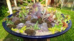 Wasser mini zen garten bastelideen wohnung ev icinde bitki. Mini Steingarten Selber Machen Sukkulenten Blumentopf Diy Mini Succulent Garden Zen Garden Youtube