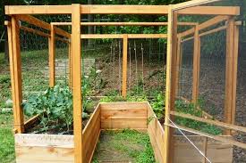 Pin By Gardening For Life On Gardening Deer Resistant Garden Easy Garden Raised Garden