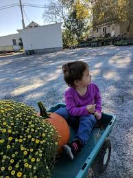 677 likes · 1 talking about this · 115 were here. Shenk S Greenhouse 2199 Old Philadelphia Pike Lancaster Pa 17602 Usa