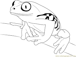 Frogs are amphibians, creatures that populate both land and water environments equally effectively. Tree Frog On Branch Coloring Page For Kids Free Frog Printable Coloring Pages Online For Kids Coloringpages101 Com Coloring Pages For Kids
