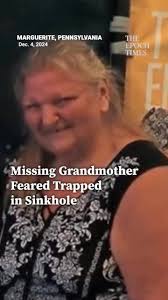 Authorities fear a woman in western Pennsylvania who disappeared while  looking for her cat may have been swallowed by a sinkhole., Crews lowered a  pole camera with a sensitive listening device into ...