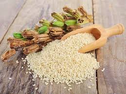 Image result for Sesamum