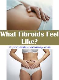Fibroid Tumor Symptoms Uterine Fibroids Fibroid Cyst Fibroid Tumors
