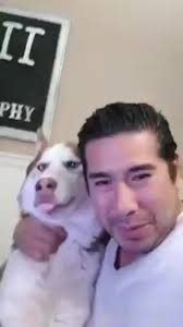 Missing our precious Koko everyday 😢 💔