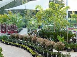 Small Business Ideas List Of Small Business Ideas How To Start A Plant Nursery Business Garden Nursery Plant Nursery Garden Center Displays