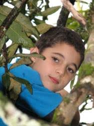 Ronald Andrés Picado Barrantes